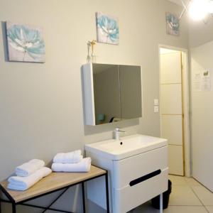 a bathroom with a white sink and a mirror at La ferme de Coron in Belley