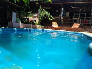 uma grande piscina azul com duas cadeiras em Hostel & Posada Noelia em Puerto Iguazú