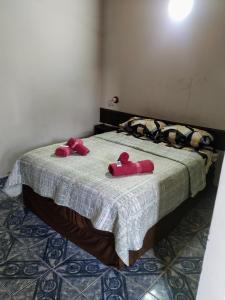 two red stuffed animals sitting on top of a bed at Hostel & Posada Noelia in Puerto Iguazú