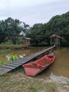 ベレンにあるChácara Calixtoの水上の桟橋の隣に停泊している2隻のボート