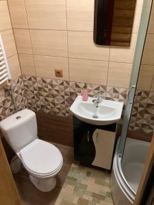 a small bathroom with a toilet and a sink at Садиба у Пасічника in Pilipets