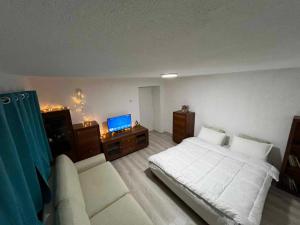 a bedroom with a bed and a couch and a television at Apartments Janiki in Kruševo