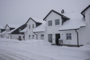un grupo de casas cubiertas de nieve en Appartement - Auf 'm Kampe 41 Winterberg-Neuastenberg, en Winterberg