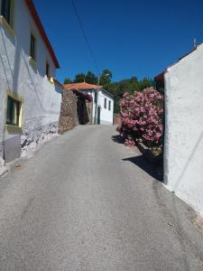 un camino vacío con una casa y un arbusto con flores rosas en A Quinta da Colina ( Casinha ) en Castanheira de Pêra