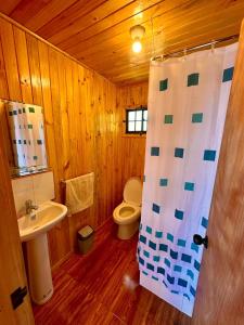 e bagno in legno con servizi igienici e lavandino. di Cabañas Vista al Mar a Valdivia