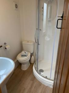 a white bathroom with a toilet and a shower at Idyllic Cornish Retreat At Puffin Lodge in Helston