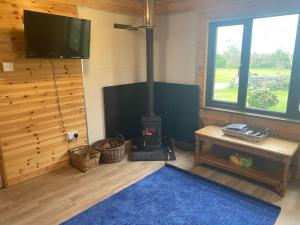 赫爾斯頓的住宿－Idyllic Cornish Retreat At Puffin Lodge，客厅设有壁炉和平面电视。