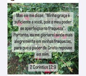 a poem about a tomato plant with a sign at Flat da Praia Rio das Ostras in Rio das Ostras
