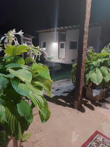 Lymore Guest house في Palamarza: منزل أمامه مجموعة من النباتات