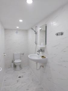 Lymore Guest house في Palamarza: حمام أبيض مع حوض ومرحاض