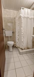 a bathroom with a toilet and a shower curtain at Esperides Villa in Sani Beach +30 photos