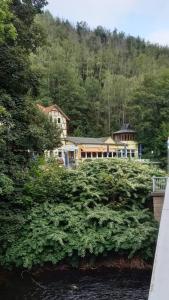Příroda nedaleko hotelu
