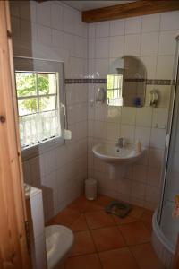 bagno con lavandino, servizi igienici e specchio di Ruhiges, sehr schönes Haus/Grundstück in Elbnähe. ad Arzberg