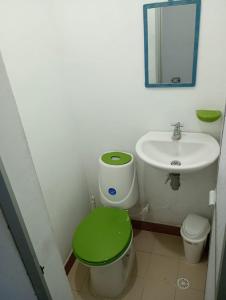 baño con lavabo y aseo con asiento verde en Apartamento de verano en la Represa del Prado 2 de 2, en Boquerón de Tena