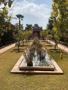 Villa Pauline with private pool & garden, hotel service and no insight. في مراكش: حديقة فيها بركة فيها نباتات في العشب