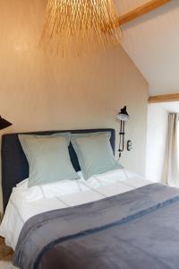 a bedroom with a large bed with a chandelier at Le Nid de la Breizhidence in Combourg