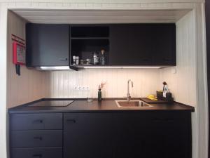 uma cozinha com armários pretos e um lavatório em Nature Nest Aljezur em Aljezur