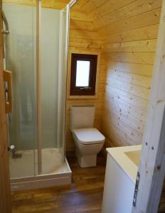a small bathroom with a toilet and a shower at Kendoon Cabin in Carsphairn