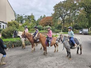 a group of children are riding on horses at Two Bedroom Lodge In The Country - Owl, Peacock & Meadow in Liskeard