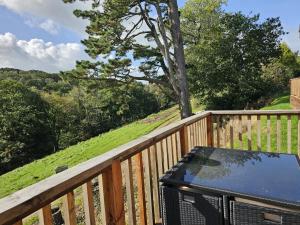 a table on a wooden balcony with a view of trees at Two Bedroom Lodge In The Country - Owl, Peacock & Meadow in Liskeard