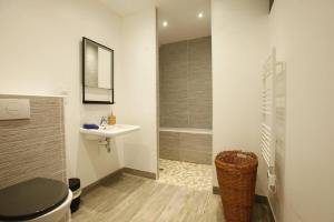 W łazience znajduje się toaleta, umywalka i prysznic. w obiekcie Maison SYRAH w mieście Condrieu