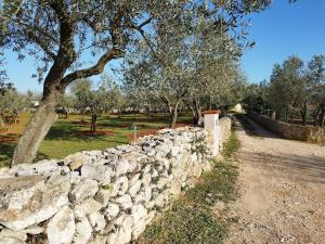 Gallery image of Villa Elizej in Fažana +12 photos