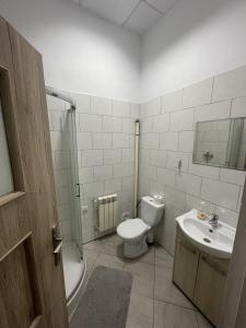 a bathroom with a toilet and a sink at Noclegi Pracownicze LAZUR in Ciechanów