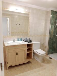 W łazience znajduje się umywalka, toaleta i lustro. w obiekcie CASA PARAISO w Aronie
