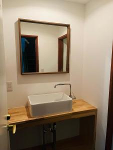 a bathroom with a white sink and a mirror at Snow Palace Nozawa in Nozawa Onsen +18 photos