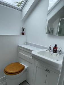 uma casa de banho com um WC com um lavatório e um espelho em The Stable at Thornlea em Axminster