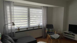 sala de estar con sofá y ventana en Freundliches Apartment Helpup, en Oerlinghausen