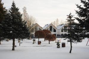 詹塔尔Domy Morskie Dog Friendly的一座有房子和树木的雪地覆盖的院子