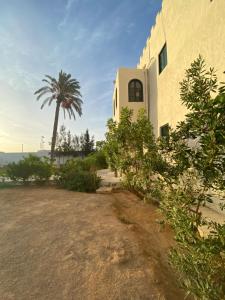 un edificio con una palmera delante de él en Dar Oueghlani - Maison d'hôtes en El Mây