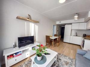 a living room with a couch and a tv and a table at Mai 71 Johanna suvekorter in Pärnu