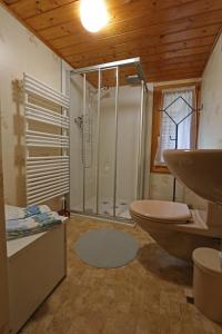 a bathroom with a shower and a toilet and a sink at Emmental Ferien in Langnau