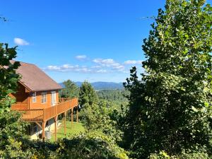 een huis op een heuvel midden tussen de bomen bij Above It All in Grassy Creek