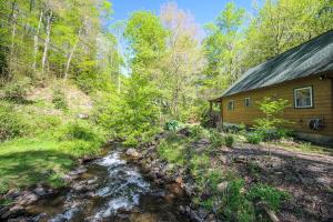 a cabin in the woods next to a stream at Roaring Creek in Todd