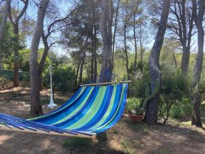 a blue hammock in a park with trees at Mobil home Calicanto in Masía Aldamar