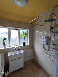 a bathroom with a sink and a shower with windows at Pace home in Bristol