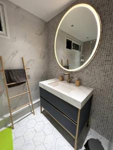 a bathroom with a sink and a mirror at Perle au centre ville avec vue mer et montagne in Saint-Denis
