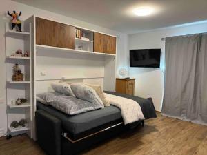 Televizors / izklaižu centrs naktsmītnē New: appartement refait à neuf avec vue!