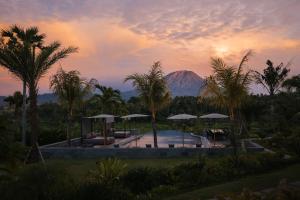 Une montagne au loin avec une piscine et des palmiers dans l'établissement East Bali Volcano View Resort & Spa - Adults Only Area, à Karangasem