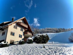 um edifício com neve no chão ao lado de um lago em Ferienapartment Huber em Oberkirch