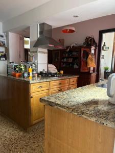 en el corazón del Barrio Sur في مونتيفيديو: مطبخ مع كونتر توب وجزيرة مطبخ