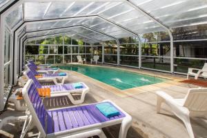 una piscina en una casa de cristal con muebles de patio púrpura y blanco en E Luru en Mar de las Pampas