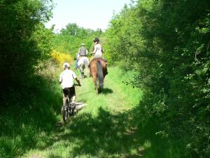 Hostia v ubytovaní Les prés du petit Morlu - proche Beauval