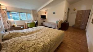 1 dormitorio con 1 cama, 1 silla y TV en De Sternhof, en Zeewolde