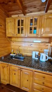 a kitchen with wooden cabinets and a sink in a cabin at Cabaña Las Casuarinas del Delta de Tigre in Dique Luján