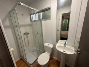 La salle de bains est pourvue d'une douche, de toilettes et d'un lavabo. dans l'établissement Posada Guasu, à Punta del Este