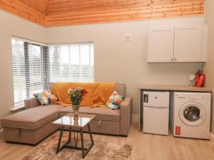 a living room with a couch and a washer at Oak Tree Cottage in Enniscorthy
